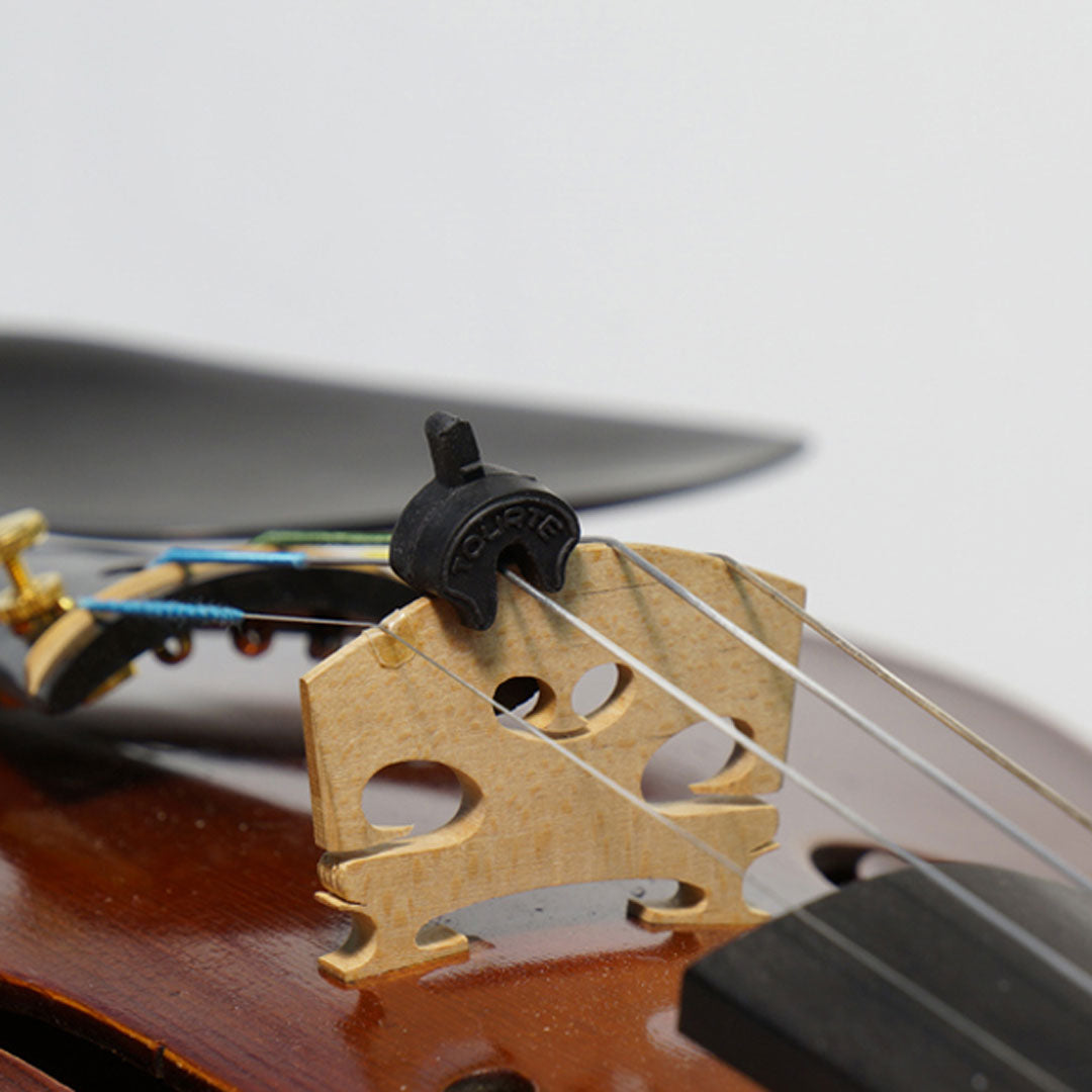 Torte Mute 1 Hole