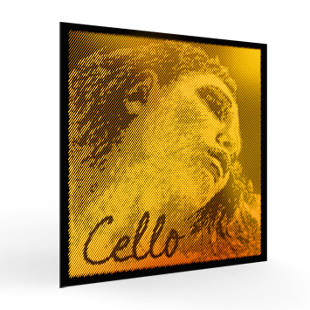 Cello Strings EVAH PIRAZZI GOLD