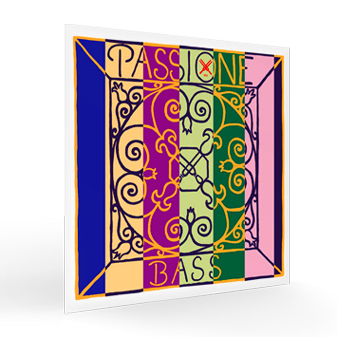 Contrabass String PASSIONE