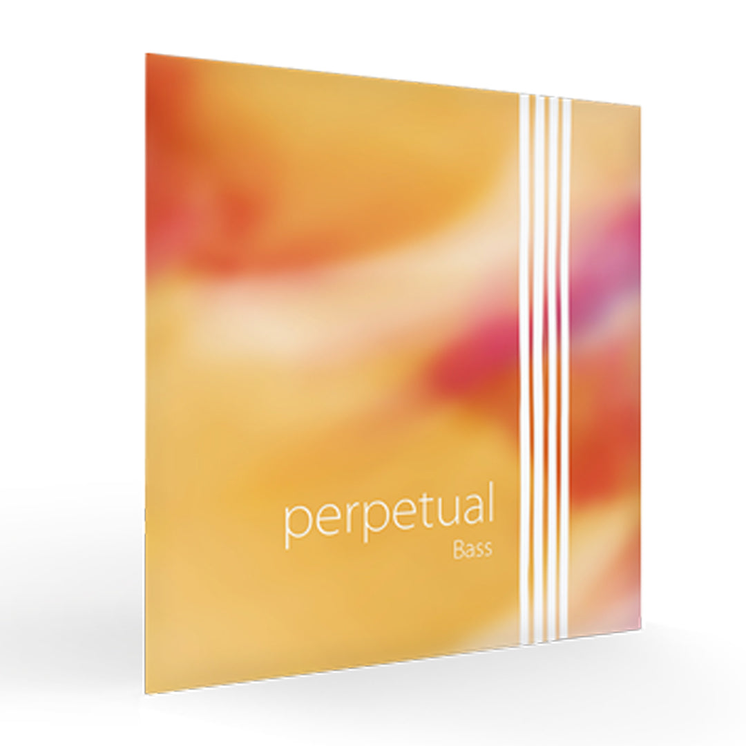 Contrabass Strings PERPETUAL