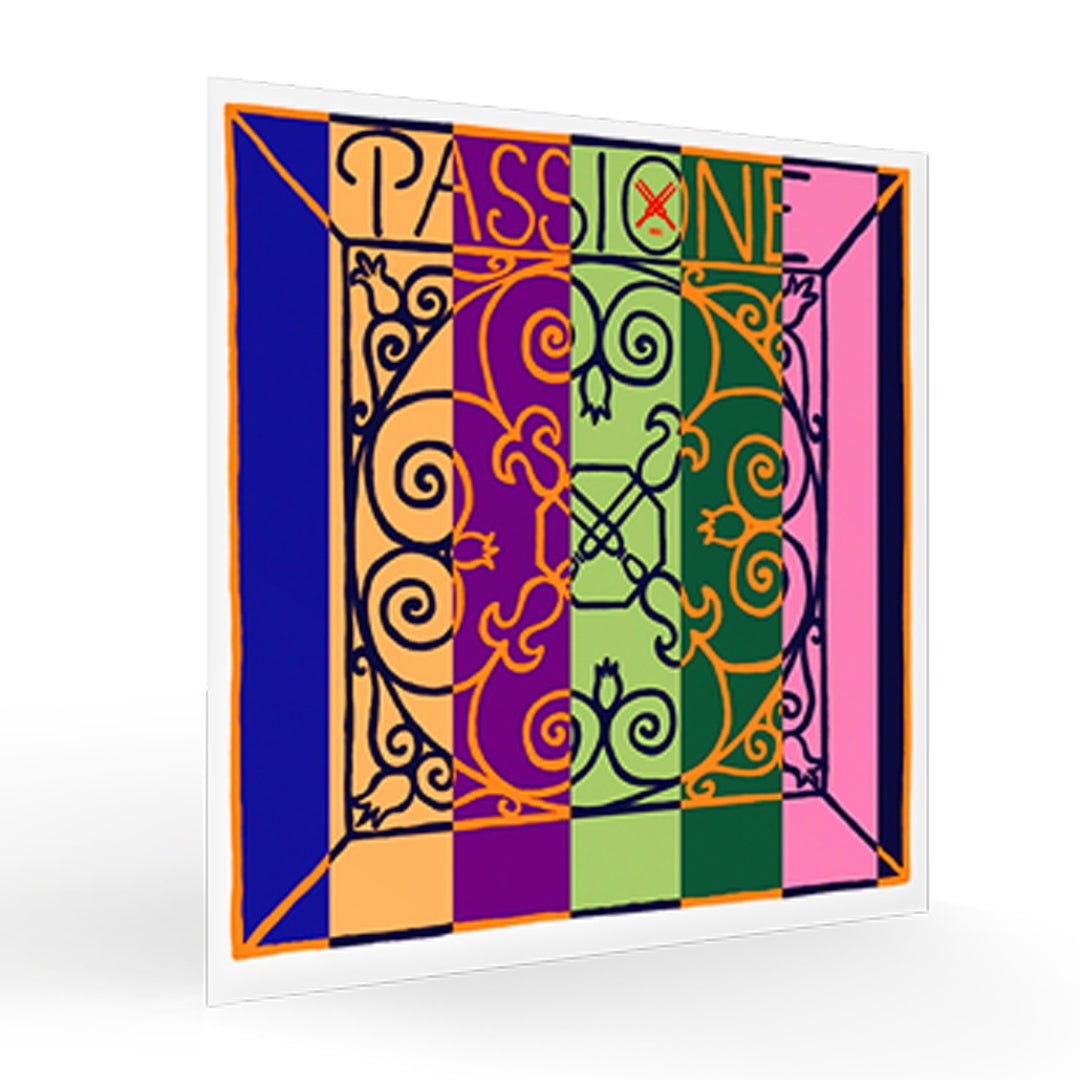 ヴァイオリン弦 PASSIONE SOLO