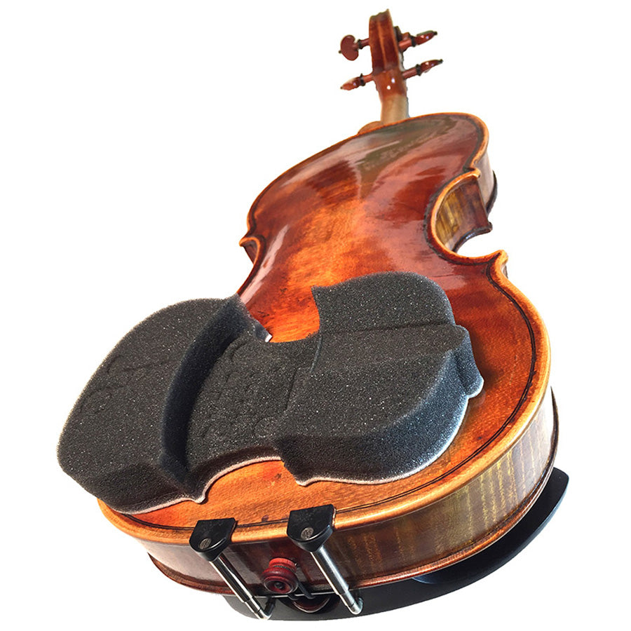 Concert Performer