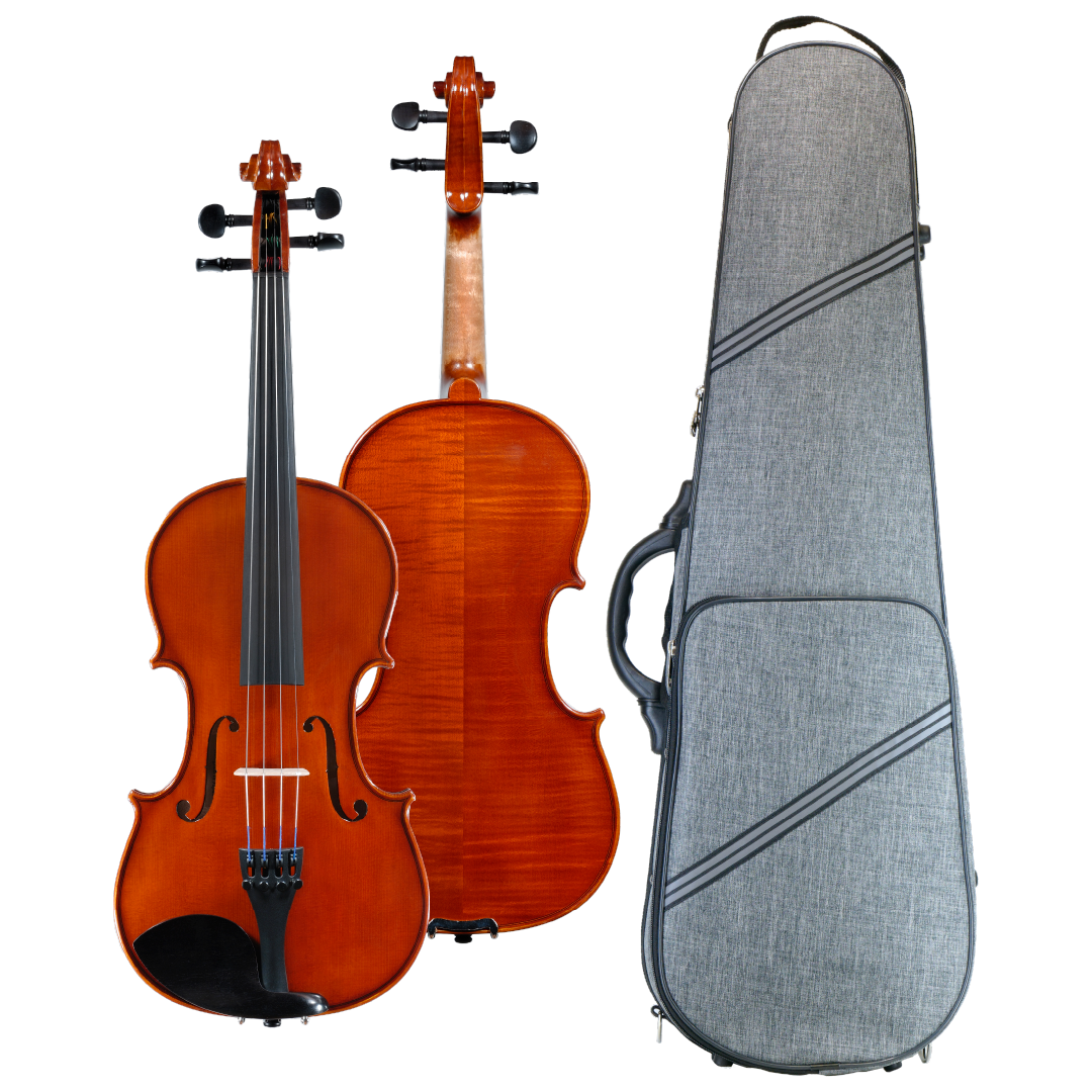 ENA Violin Set No.10